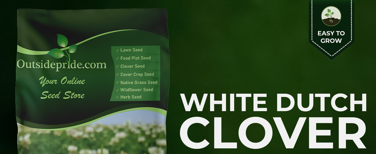 White Dutch Clover