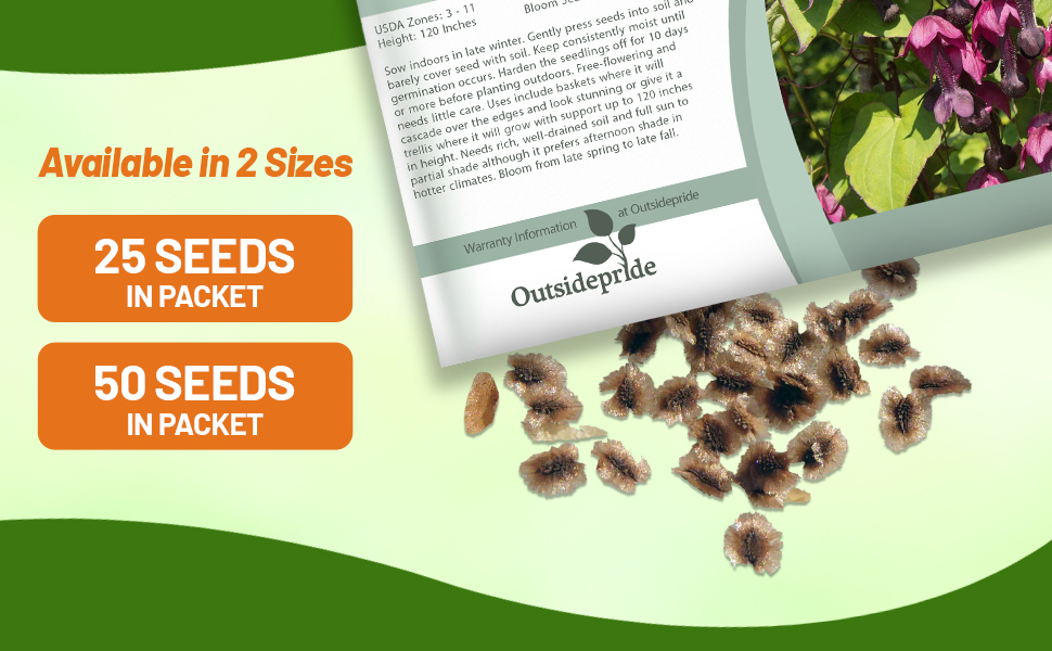 Purple Bell Vine Seed Packet