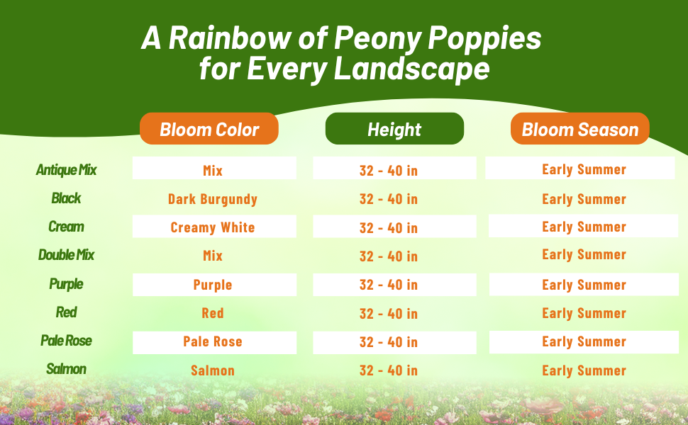 Bloom Color, Height, and Season Chart for Peony Poppy Flowers