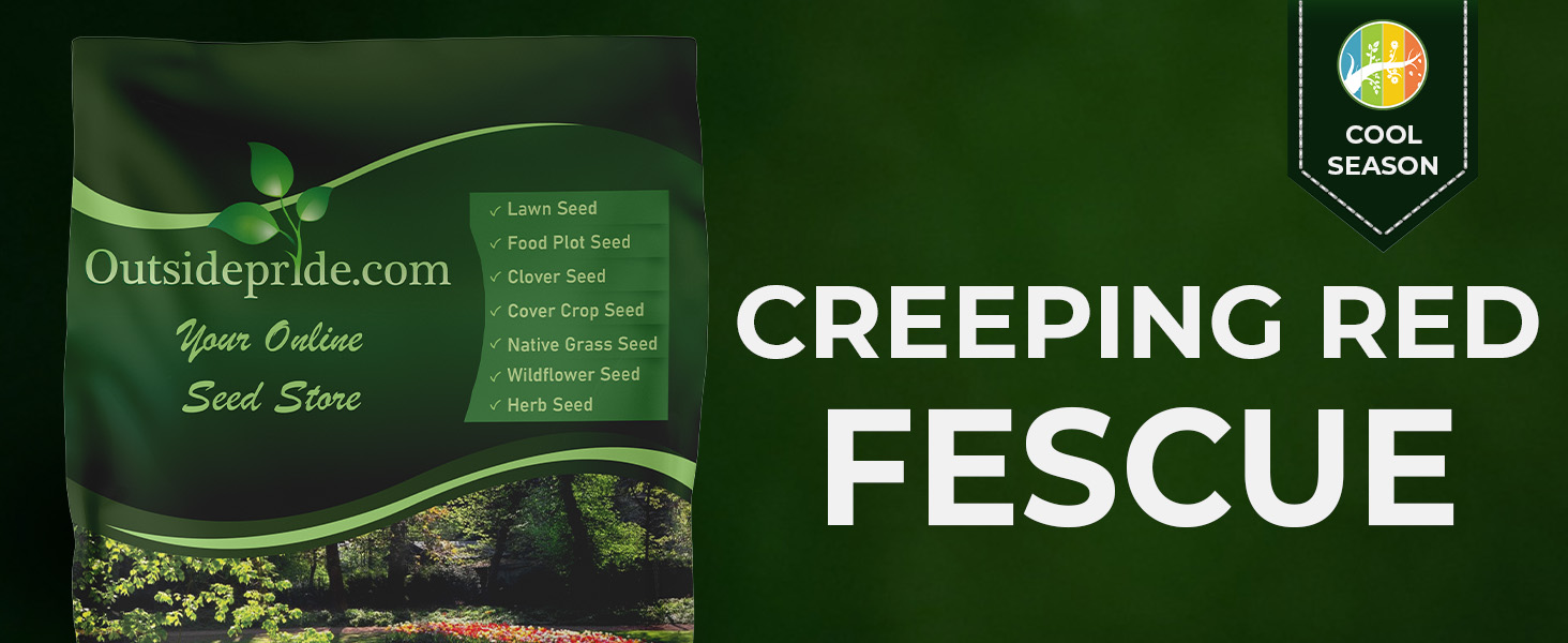 Creeping Red Fescue Bag