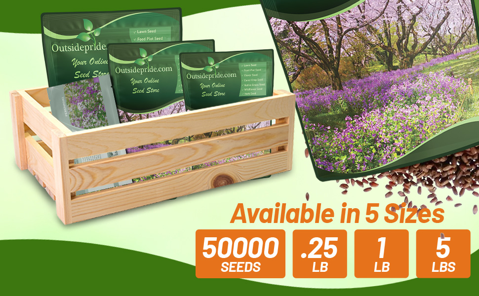 Dame's Rocket Seed Bags For Planting