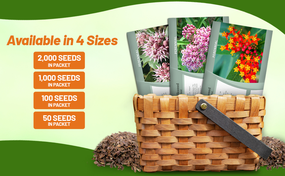 Asclepias Milkweed Seed Packets For Planting