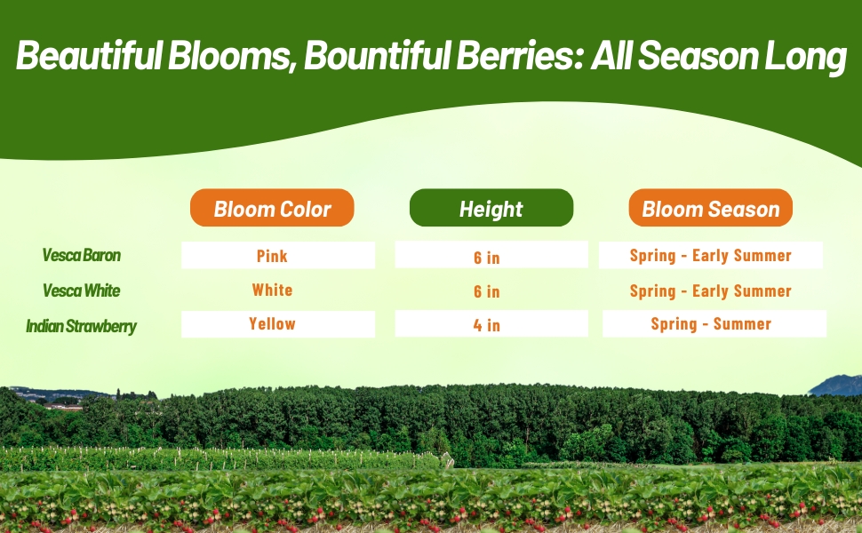 Bloom Color, Season, & Height Chart of Strawberry Plants