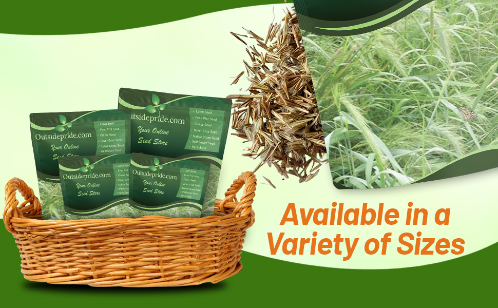 Southeast Native Prairie Grass Seed Bags For Planting