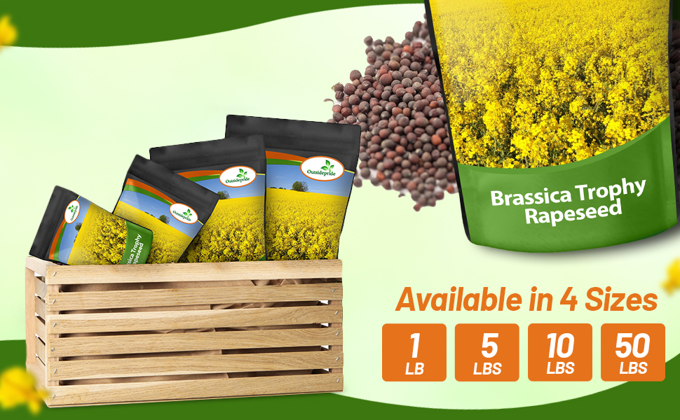 Brassica Trophy Brassica Bulk Seed Bags For Sale