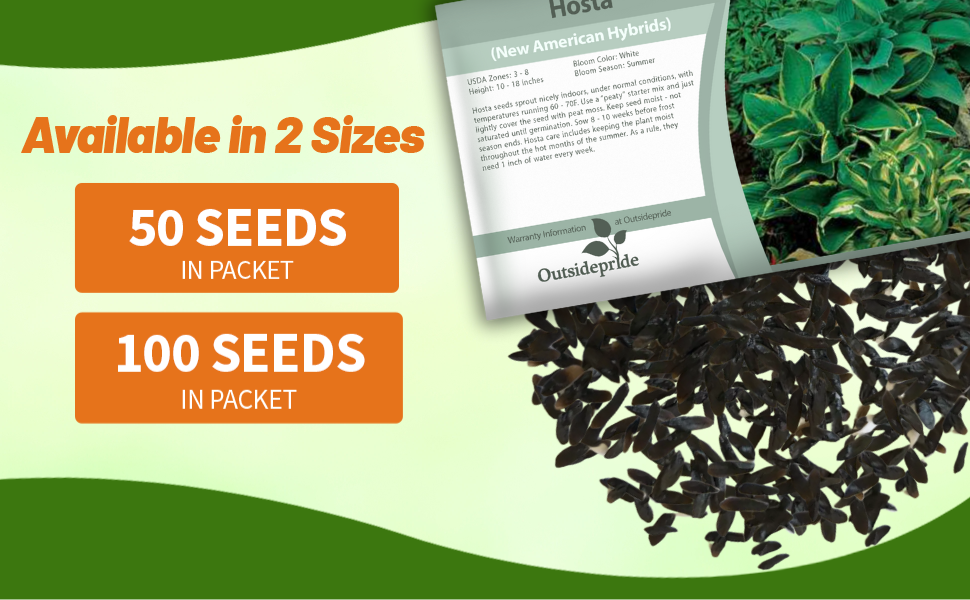 Hosta Seed Packets For Planting