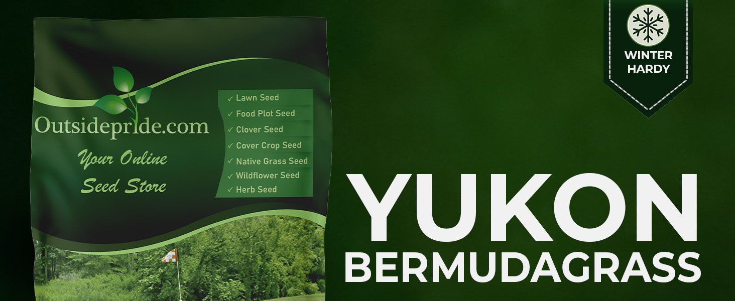 Yukon Bermuda Grass