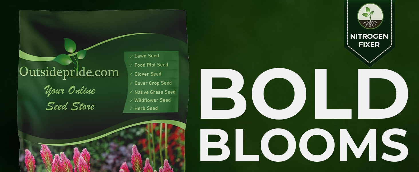 Crimon Clover Seed