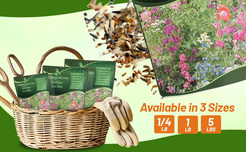 Bulk Seed Bag Of Partial Shade Wildflowers For Planting Pollinator Mixtures