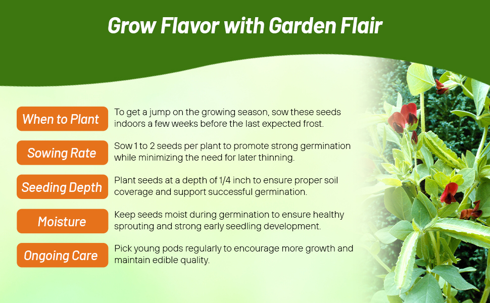 Planting Directions For Winged Asparagus Pea & Sowing Rate