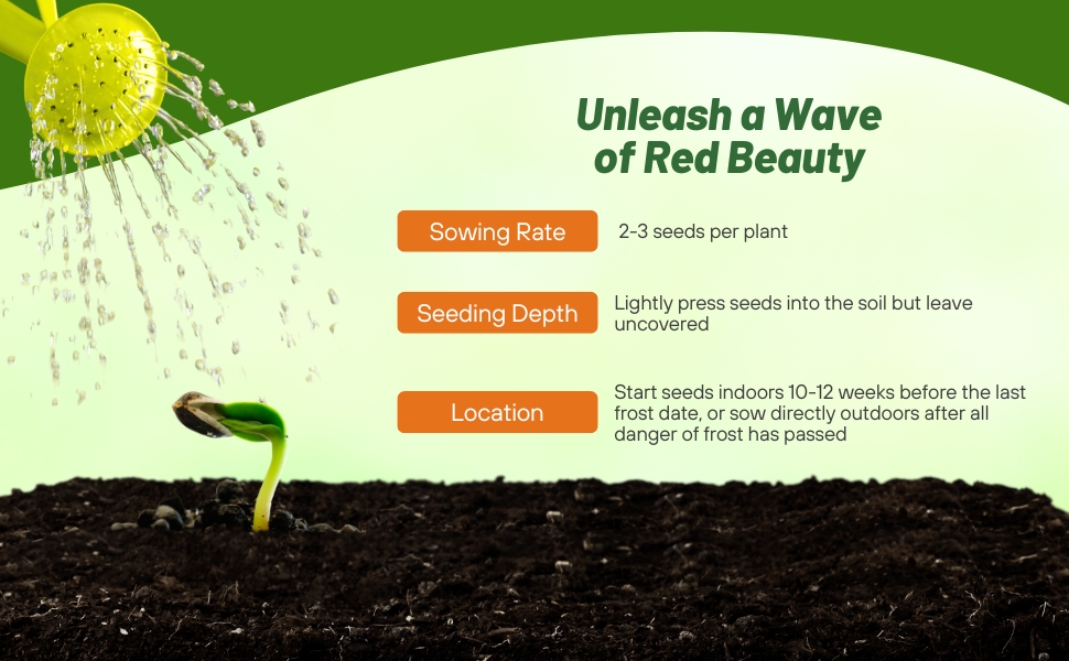 Sowing Rate & Depth for Red Velour Wave Petunia Flower Seeds