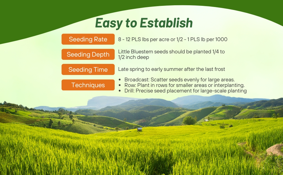 Seeding Rate & Planting Time For LIttle Bluestem