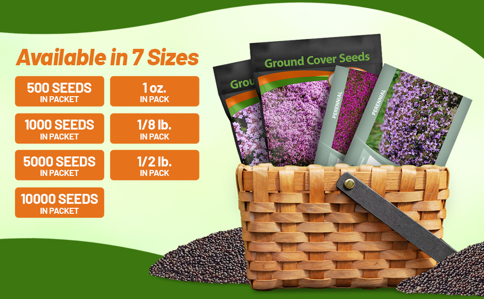 Creeping Thyme Ground Cover Seed Packets For Sale