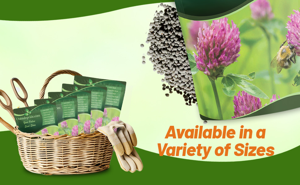 Bulk Red Clover Seed Bags For Planting