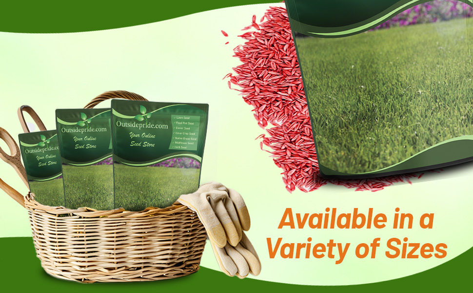 Bluegrass Supreme Kentucky Bluegrass Lawn Grass Seed