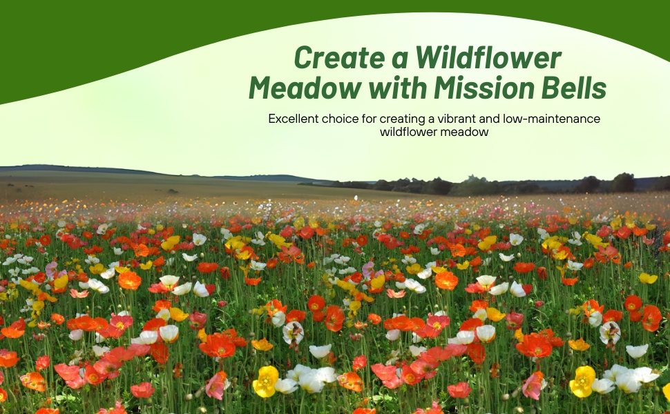 California Poppy MIssion Bells Flower Seed Mixture For Meadows