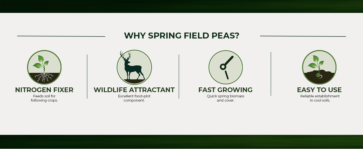 Spring Field Peas Seeds For Cover Crops