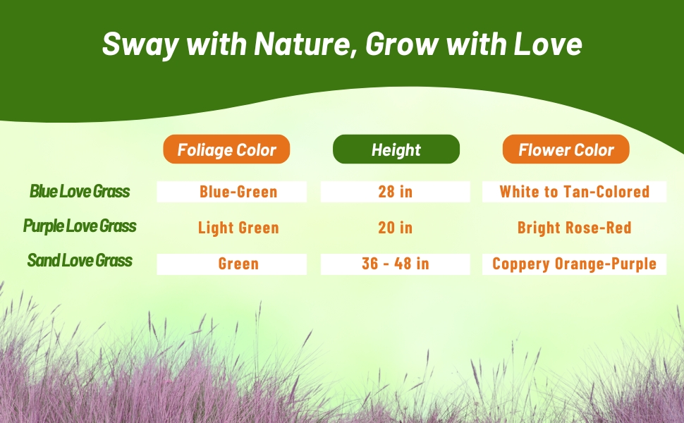 Love Grass Chart of Bloom Season, Flower Color, & Height
