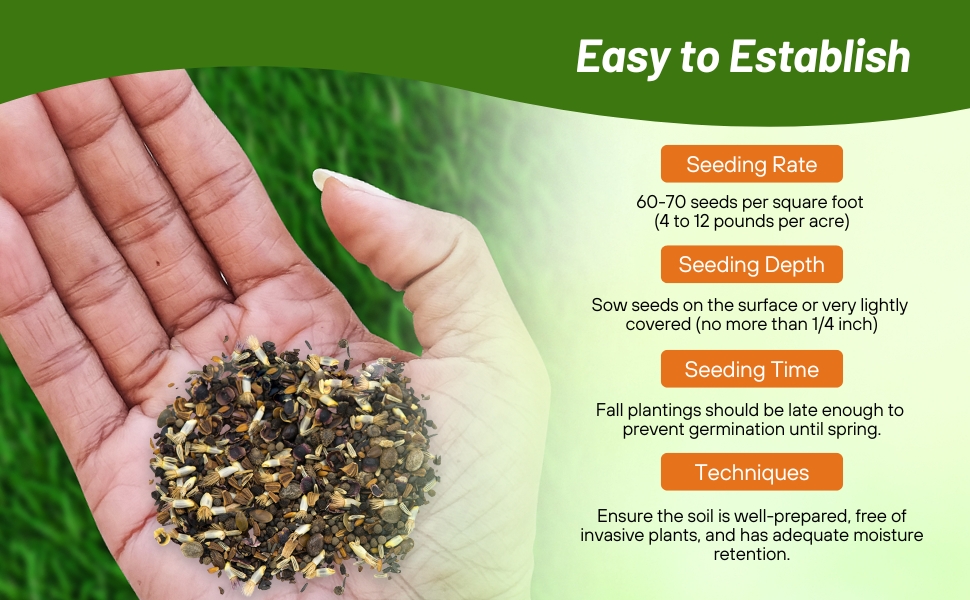 Planting Directions For Red Wild Flower Seed Mixture