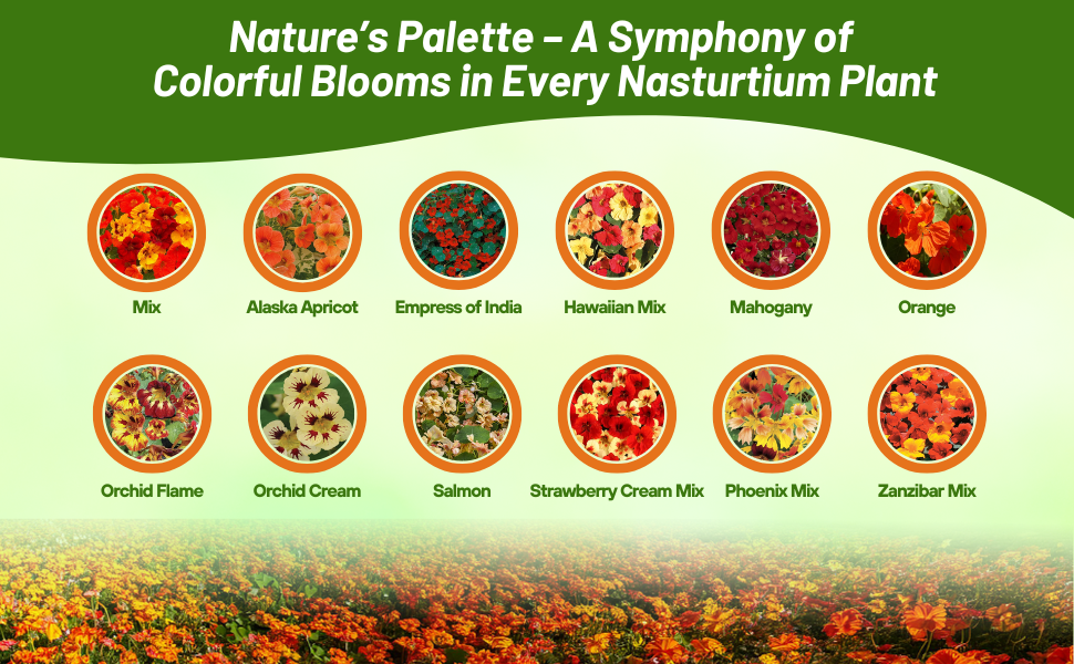 Nasturtium Seed Packet Varieties For Sale