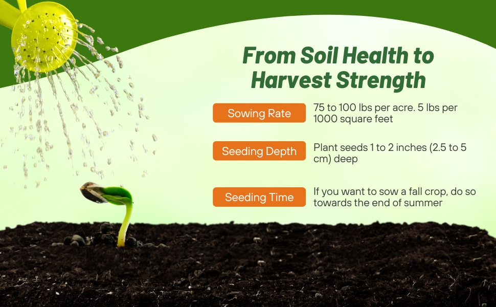 Planting Directions For Spring Field Peas