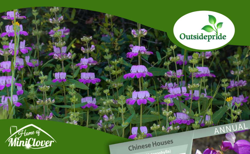 Chinese Houses Flower Garden
