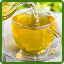 Leadplant Earthy Flavor with Subtle Sweet Notes