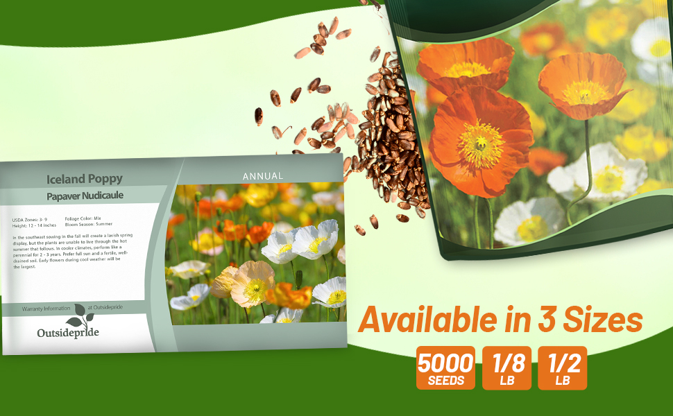 Iceland Poppy Seed Packet & Bulk Bag For Planting