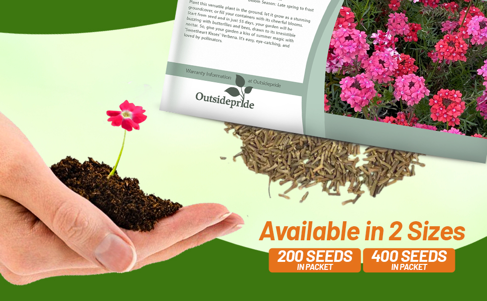 Moss Verbena Sweetheart Kisses Seed Packet For Planting