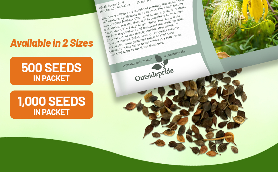 Clematis Seed Packet For Sale