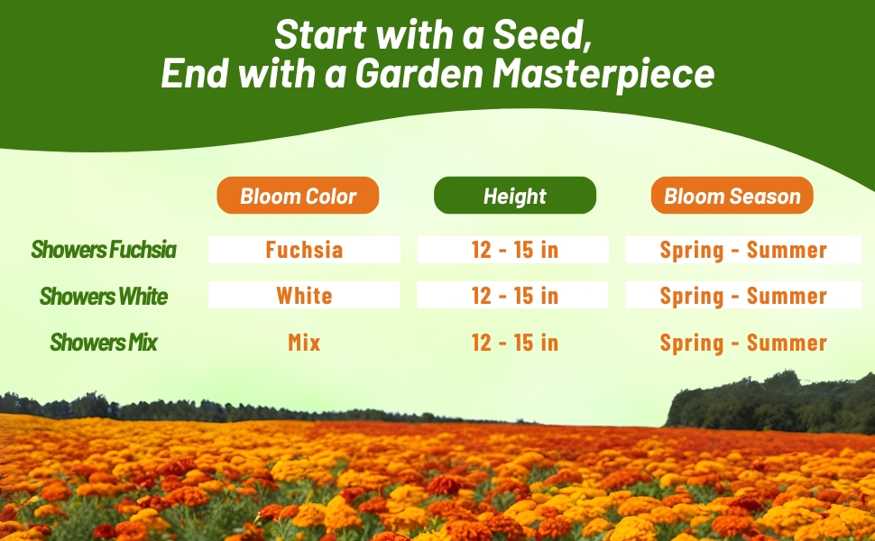 Bloom Season, Color, & Height Chart of Ivy Leaf Geranium