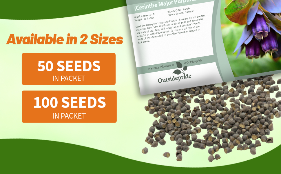 Cerinthe Major Honeywort Seed Packets For Sale