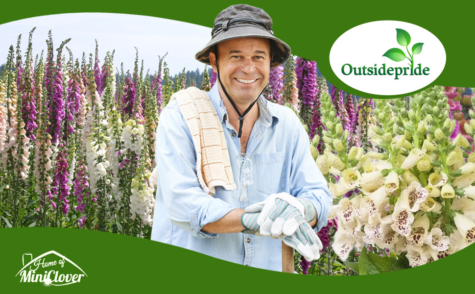 Man Standing In Digitalis Foxglove Flower Garden