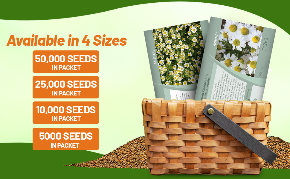 German & Roman Chamomile Herb Seed Packets For Planting