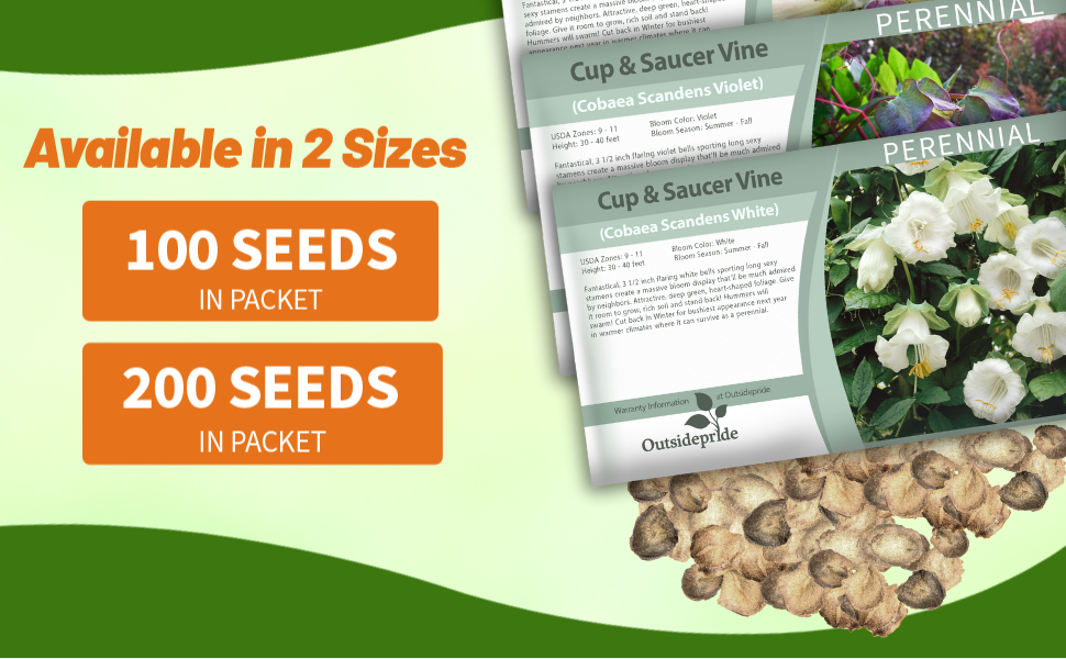 Cup & Saucer Vine Cobaea Seed Packets