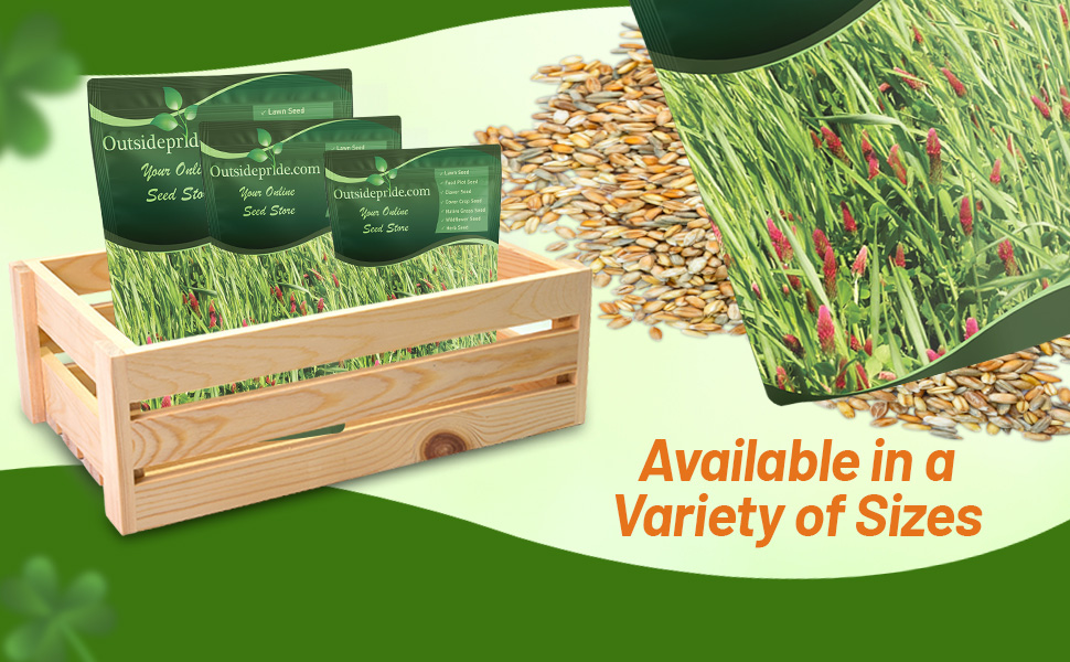Garden Cover Crop Green Manure Seeds For Home Gardening