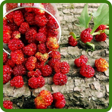 Bowl of Strawberry Spinache Edible Fruits