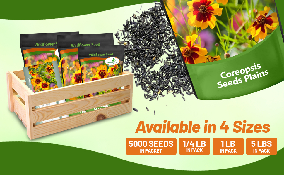 Plains Coreopsis Seed Bag For Planting