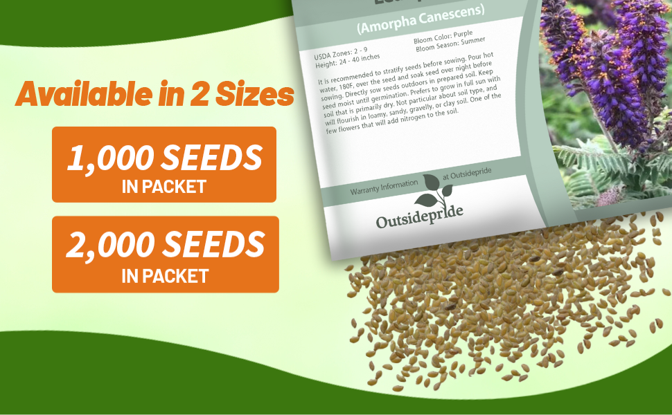 Amorpha Leadplant Flower Seed Packet