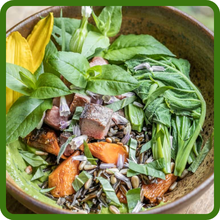 Edible Roots and Leaves of Cup Plant