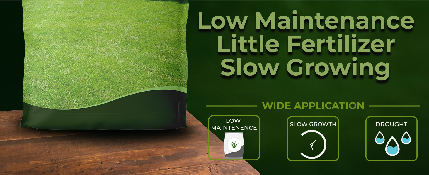 Centipede Grass Seed