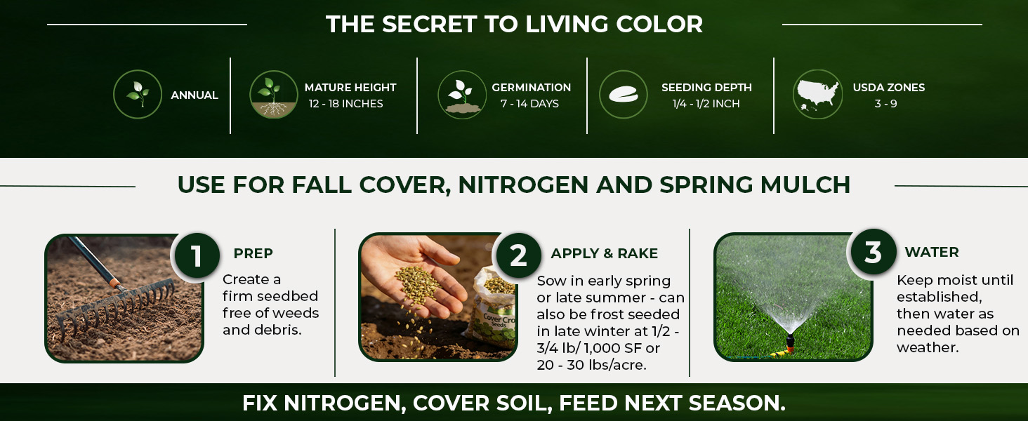 White Cloud Crimson Clover Planting Directions