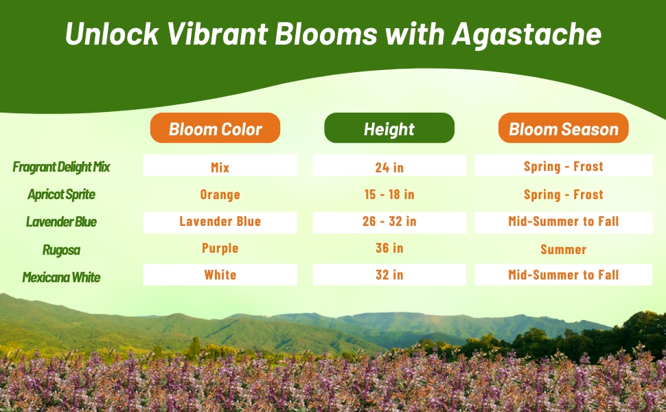 Chart of Agastache Plants Bloom Color, Season, & Height
