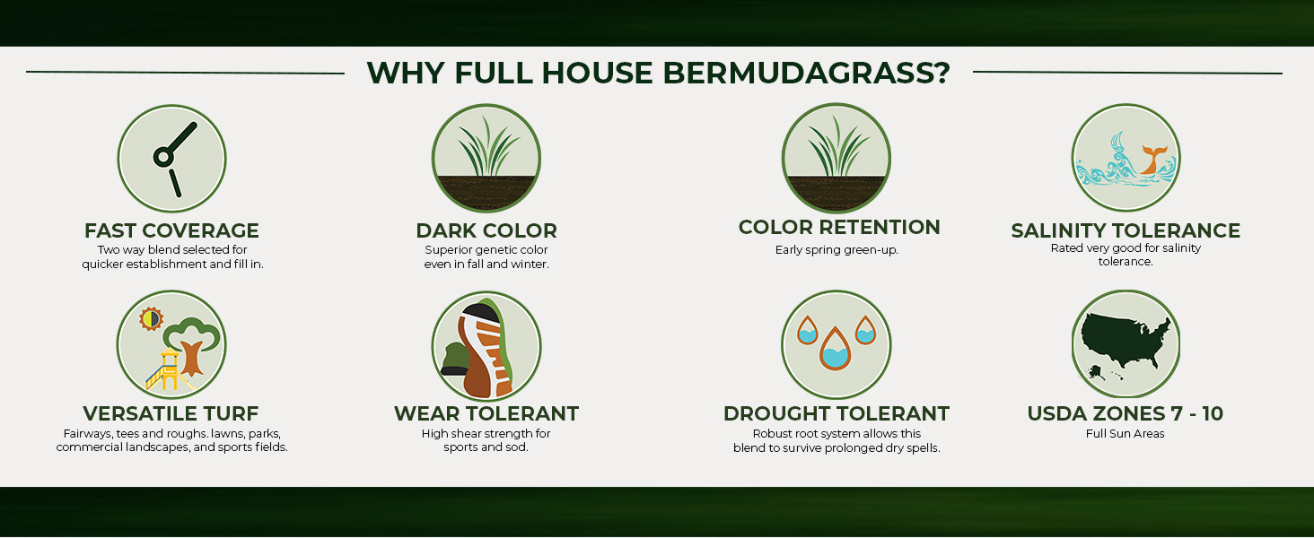 Full House Bermuda Grass Seed