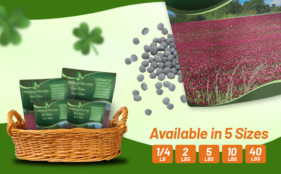 Bulk Crimson Clover Seed Bags For Planting