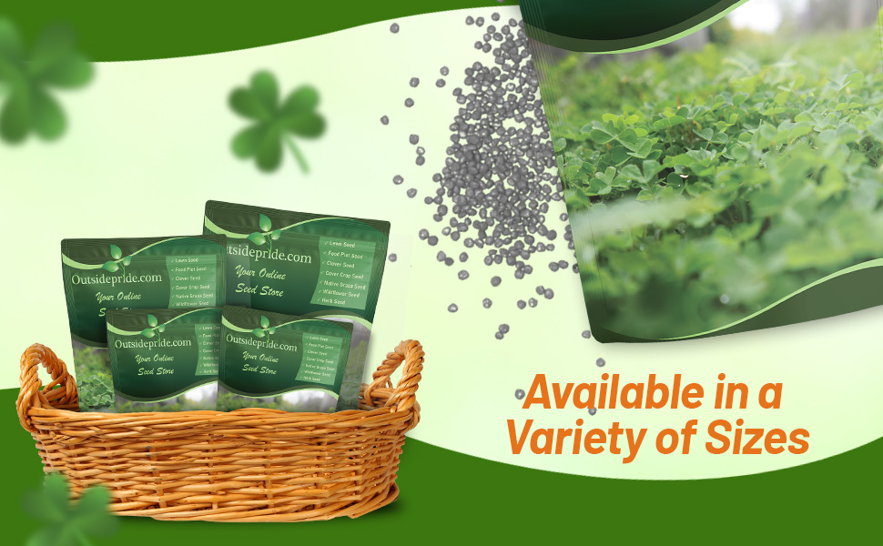 White Dutch Clover Bulk Seed Bags For Planting
