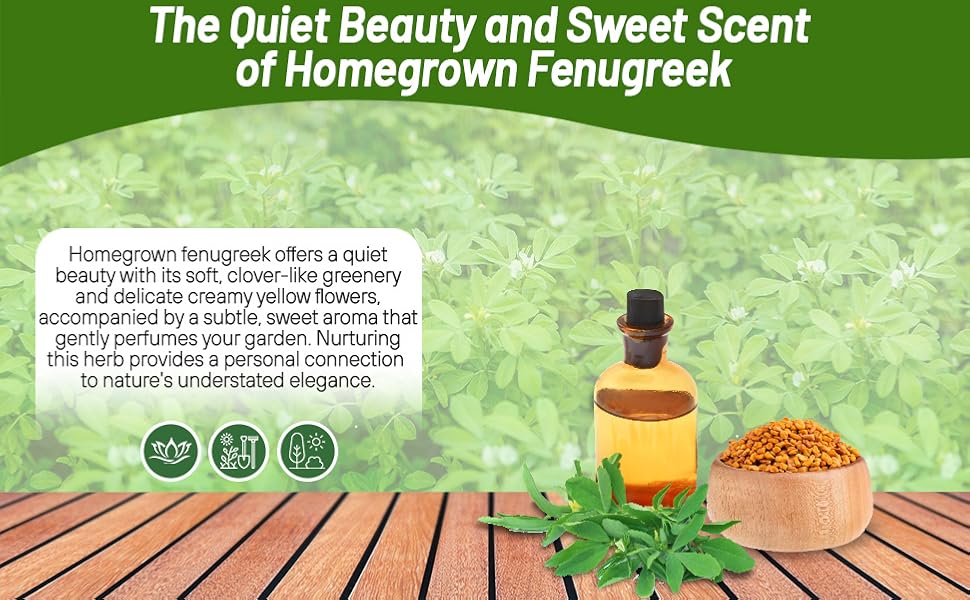 Fragruant Fenugreek OIl & Seed in Bowl