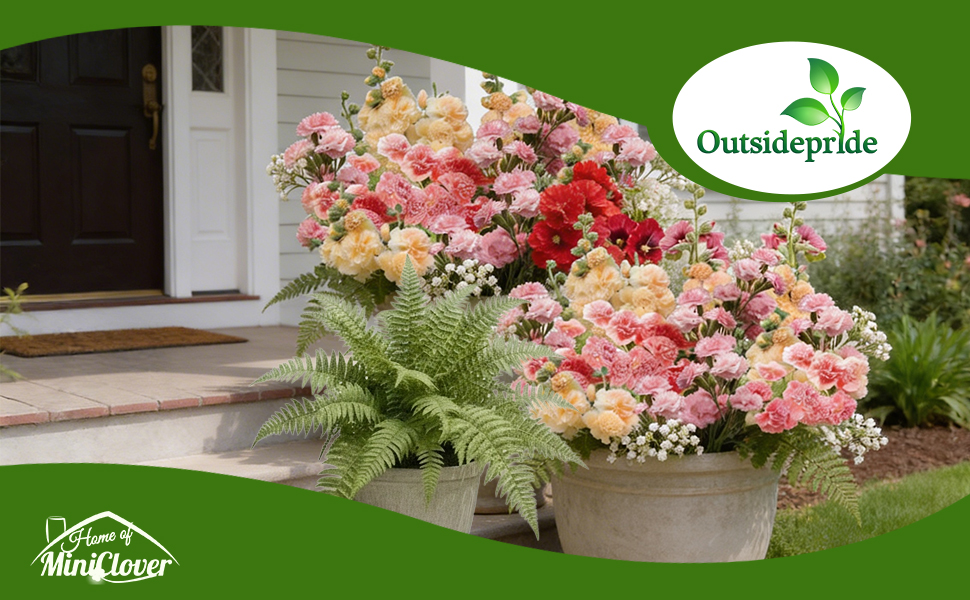 Hollyhock Flower Garden Flower Seed Mixture