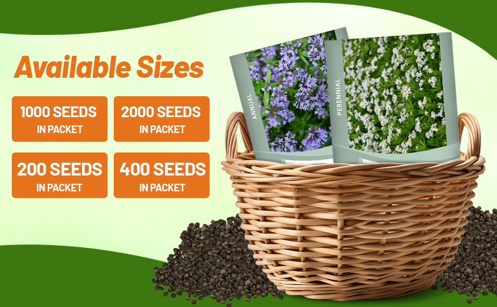 Woodruff Herb Seed Packets For Sale