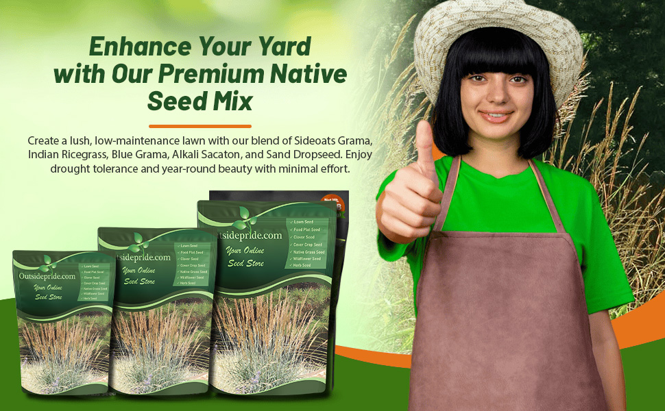 Southwest Native Grass Seed Mix For Planting Xeriscape Landscapes